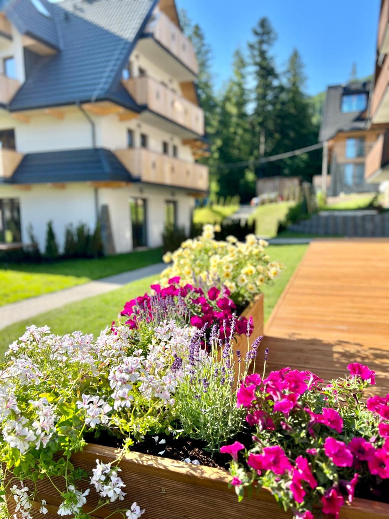 Nosal Ski & Wine Apartments Zakopane Dış mekan fotoğraf
